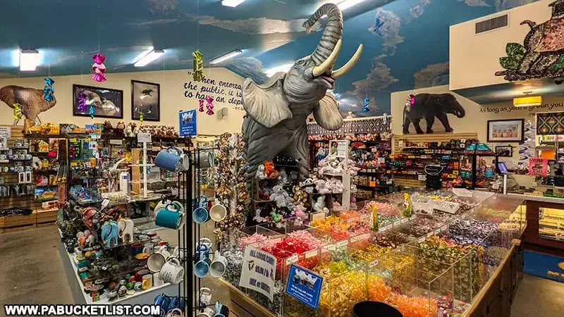 Mister Ed’s Elephant Museum