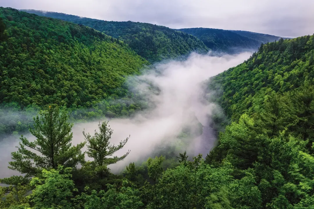 Pine Creek Gorge