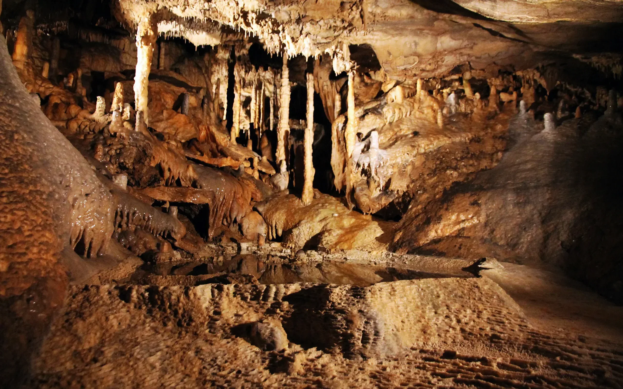 Caves of Han-sur-Lesse