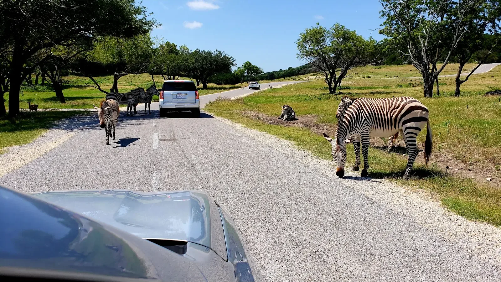 Fossil Rim Wildlife Center