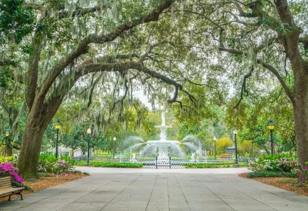Savannah