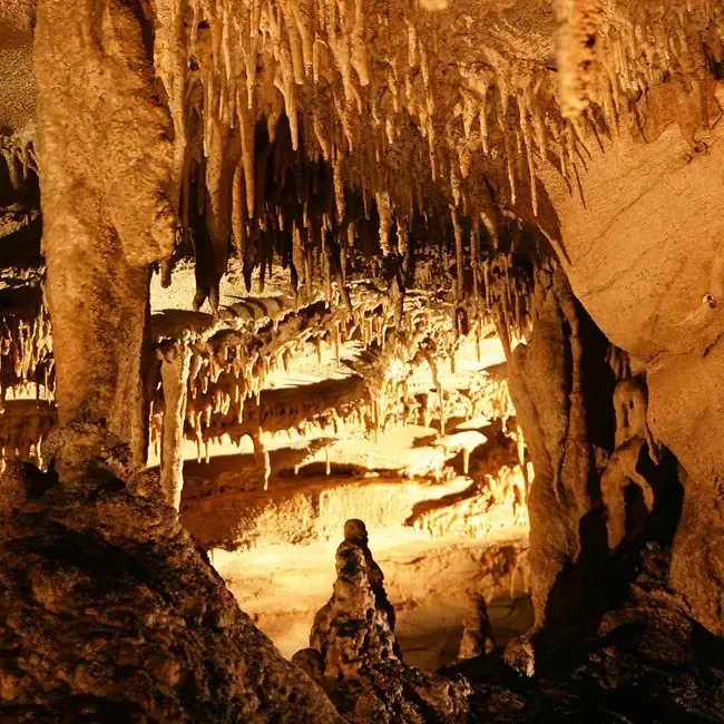 Mammoth Cave National Park