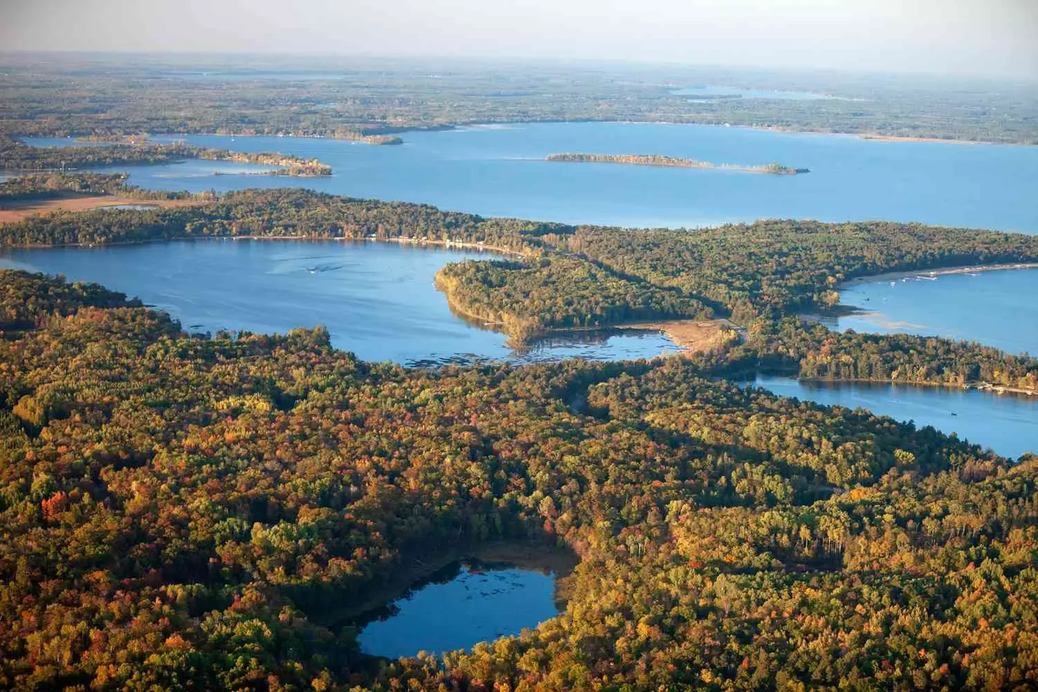 Brainerd