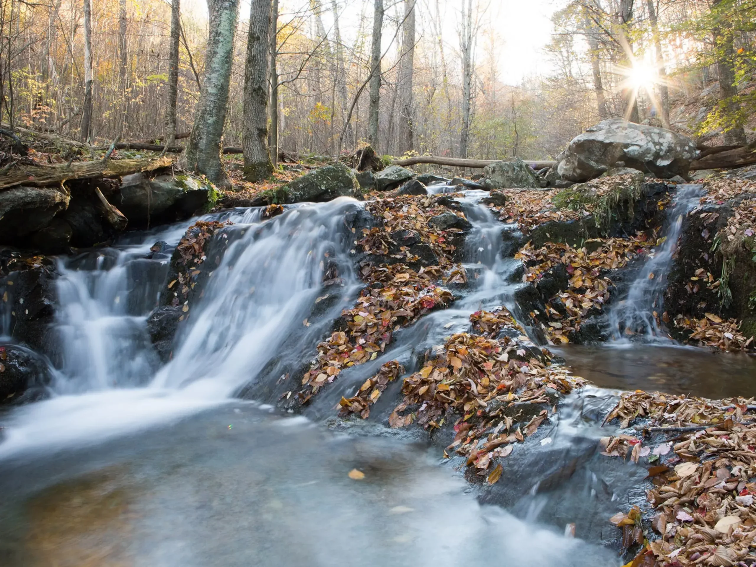 Shenandoah National Park
