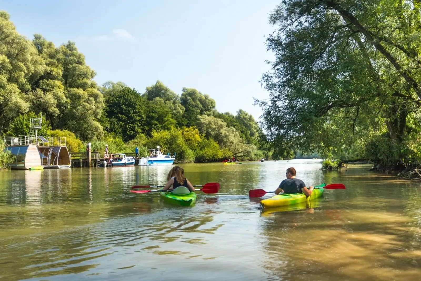 De Biesbosch National Park