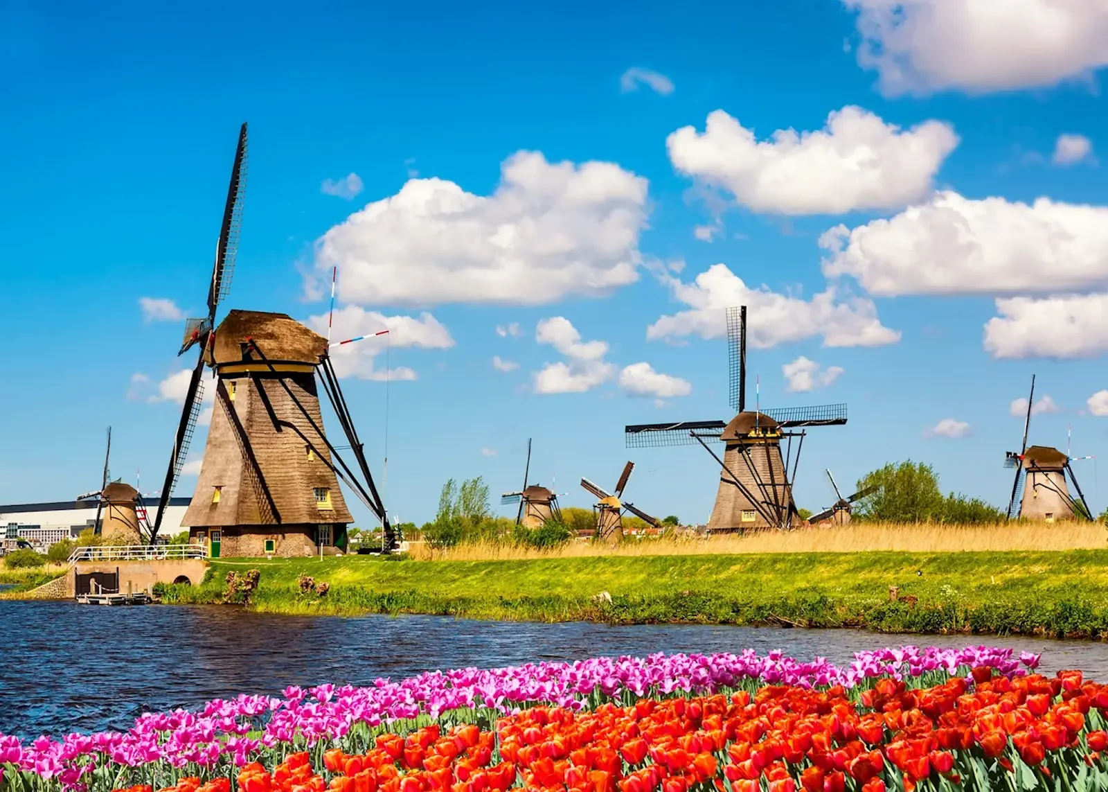 Kinderdijk Windmill