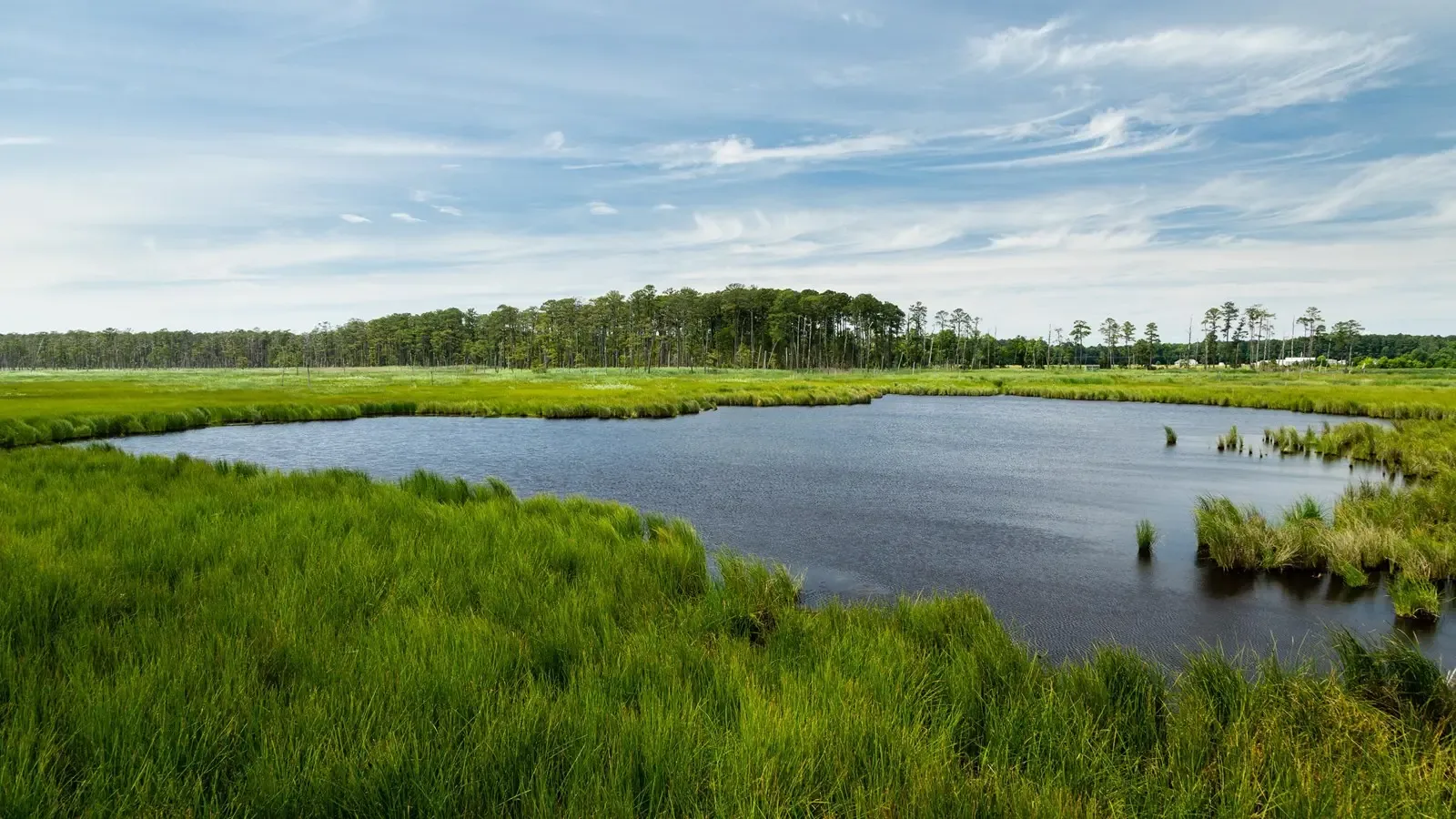 Blackwater National Wildlife Refuge, MD - day trips from Washington