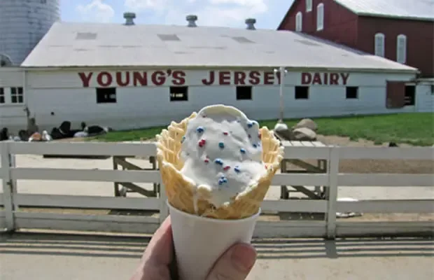 Young’s Jersey Dairy