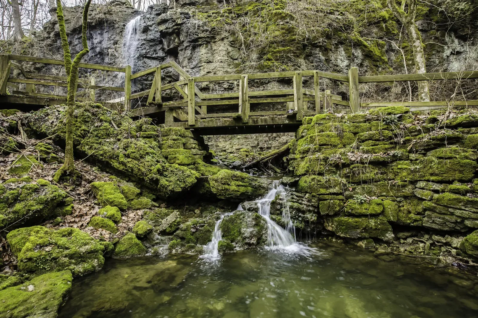 Clifton Gorge State Nature Preserve - Things to do in Yellow Springs