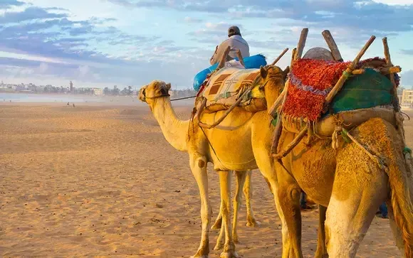 The Berber Heartland