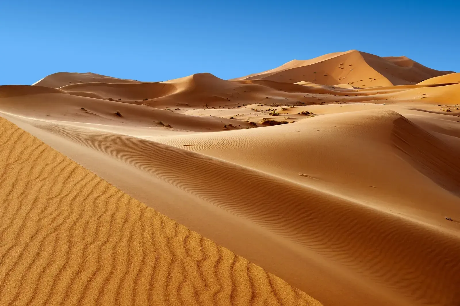 Day Trips from Casablanca