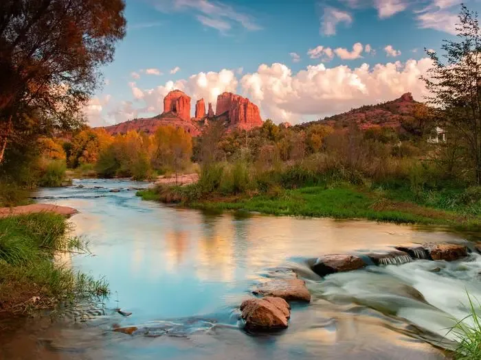 The Coconino National Forest