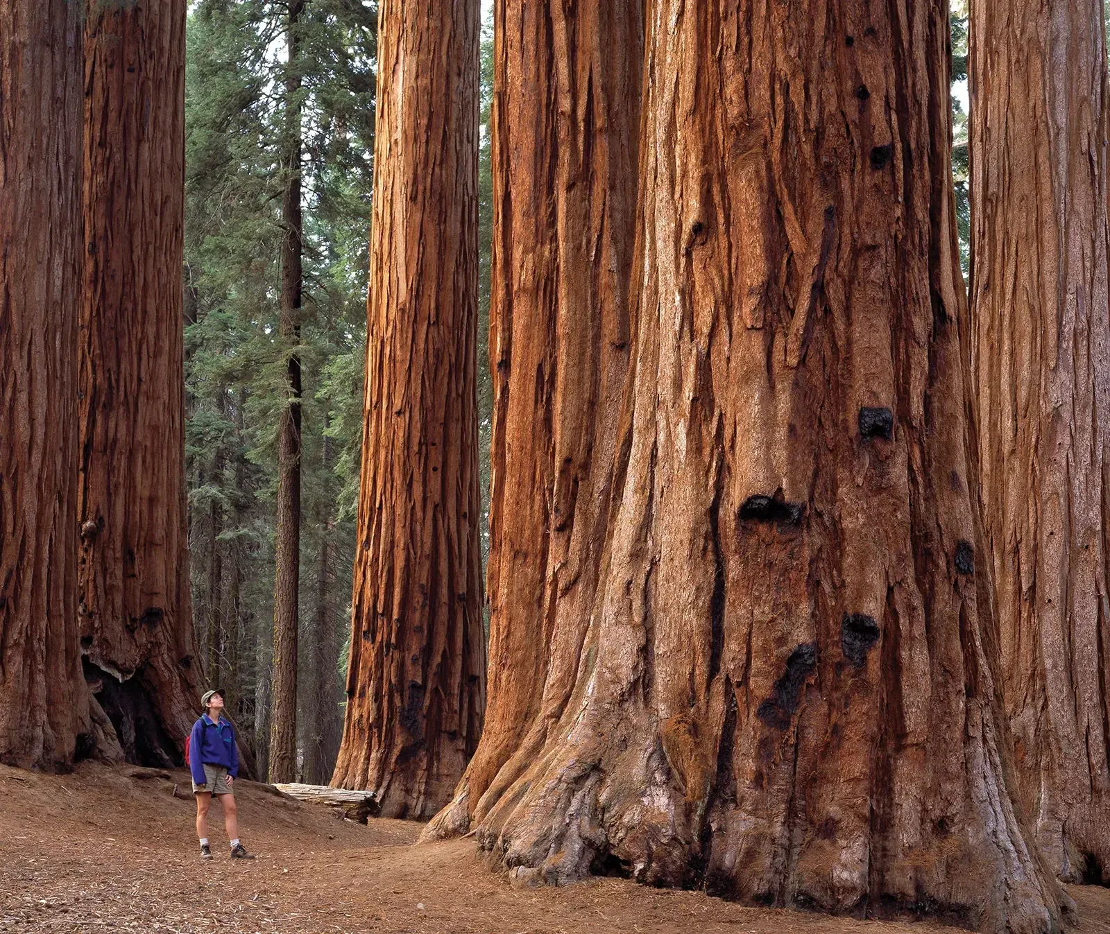Day trips from Fresno