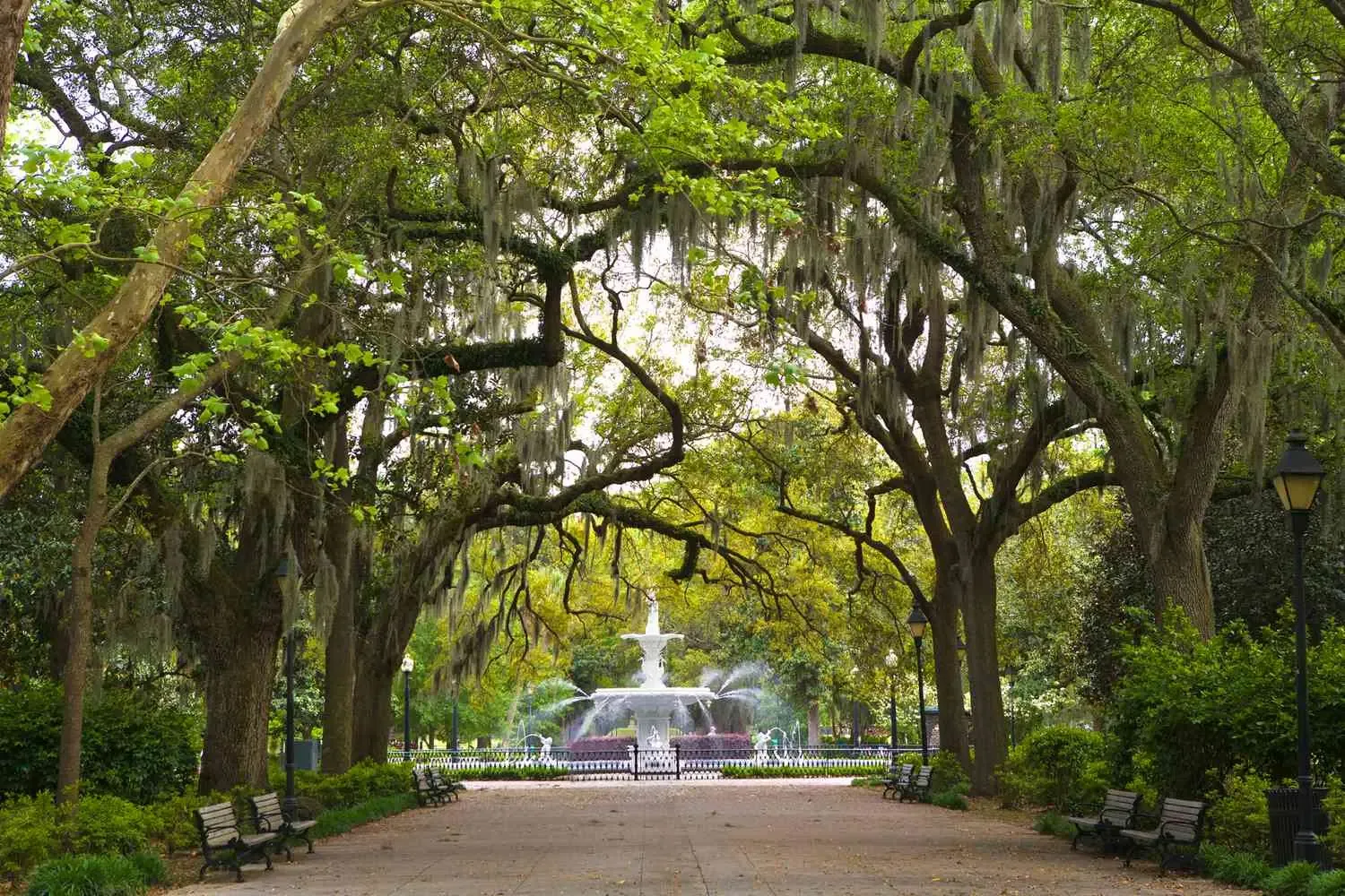 Savannah, GA