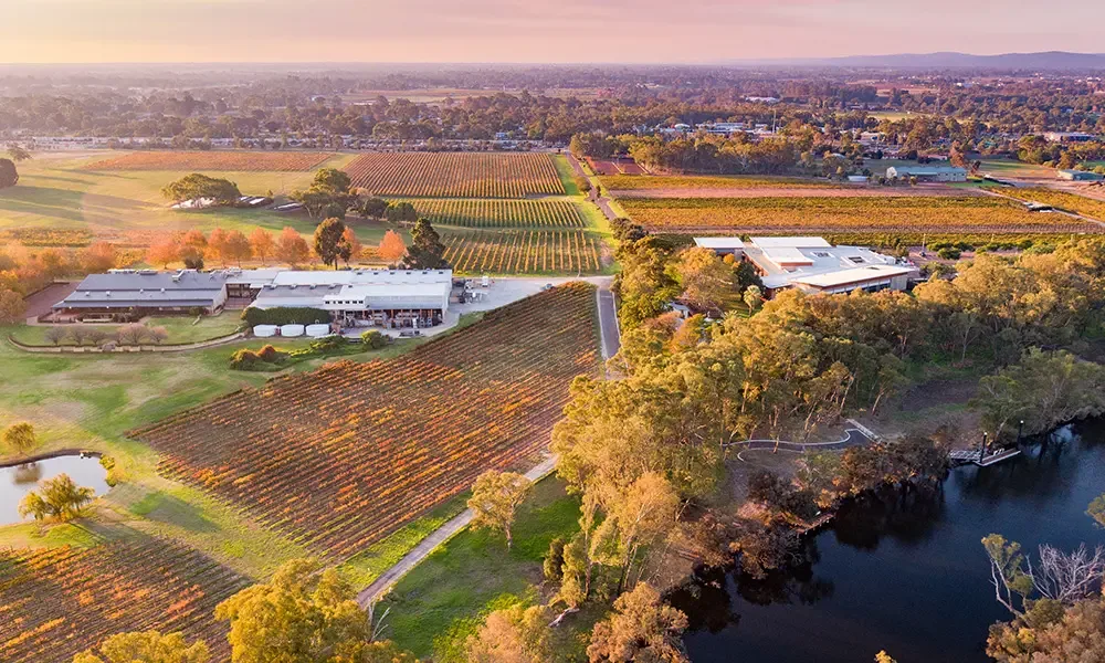 The Swan Valley