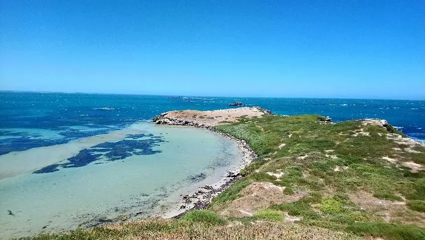 Penguin Island