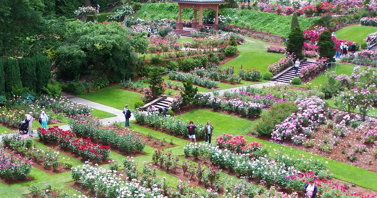 Rose Test Garden - Day Trips from Portland