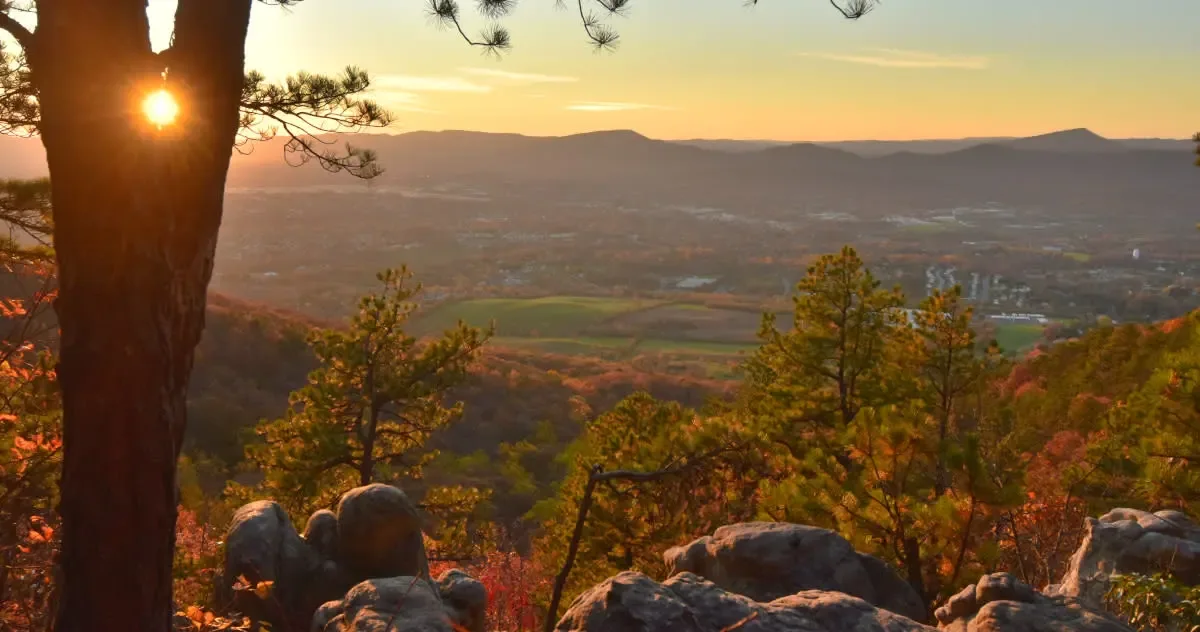 Read Mountain Preserve