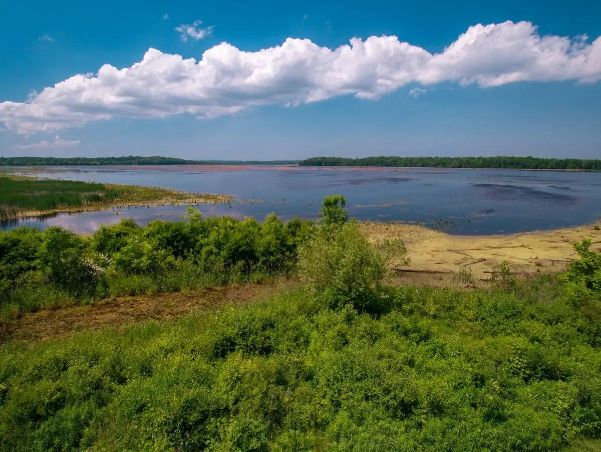 Montezuma National Wildlife Refuge
