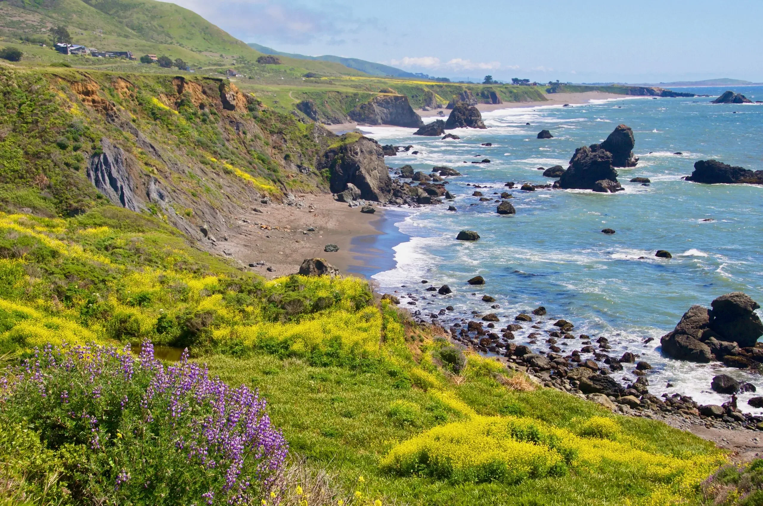 Sonoma Coast State Park