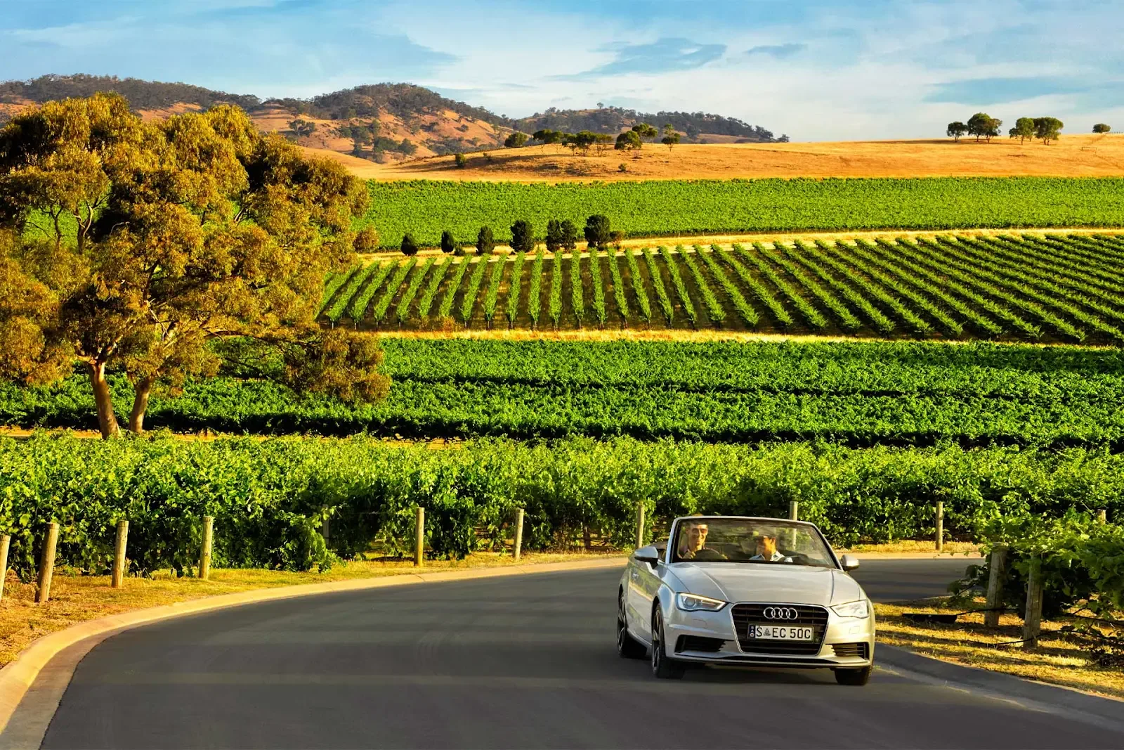 Barossa Valley