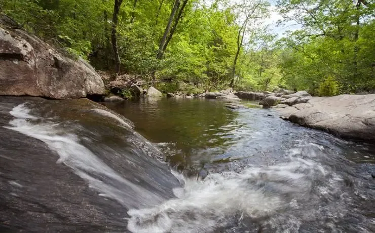 Hawn State Park