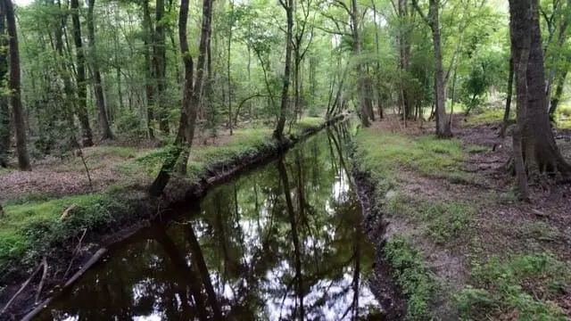 Great Swamp Sanctuary