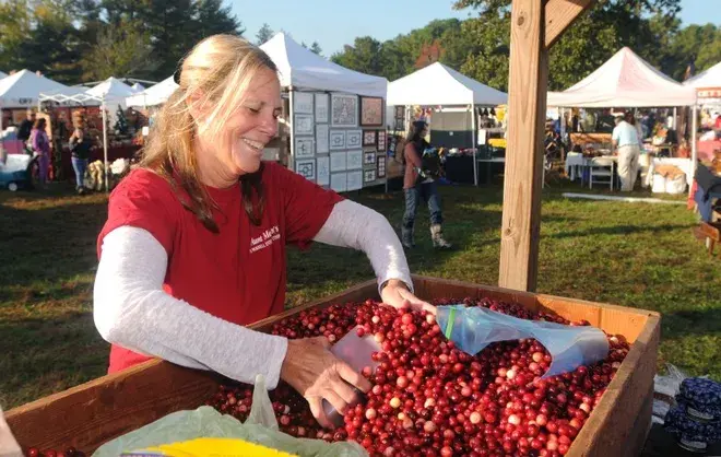 chatsworth cranberry festival - Day Trips from New Jersey