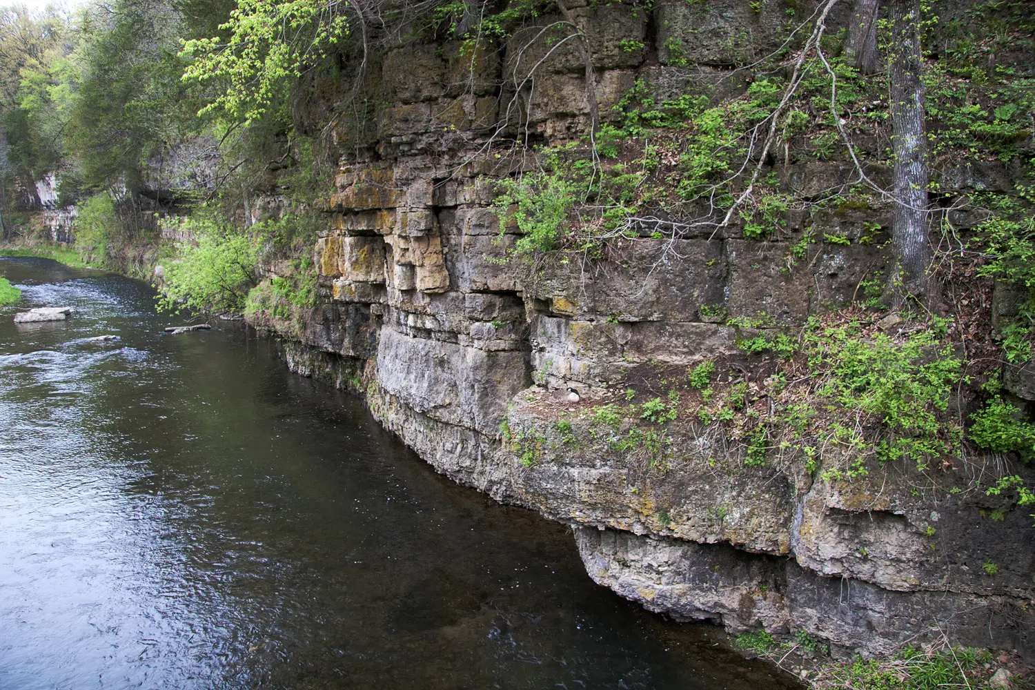 Apple River Canyon State Park, IL - Day Trips from Chicago