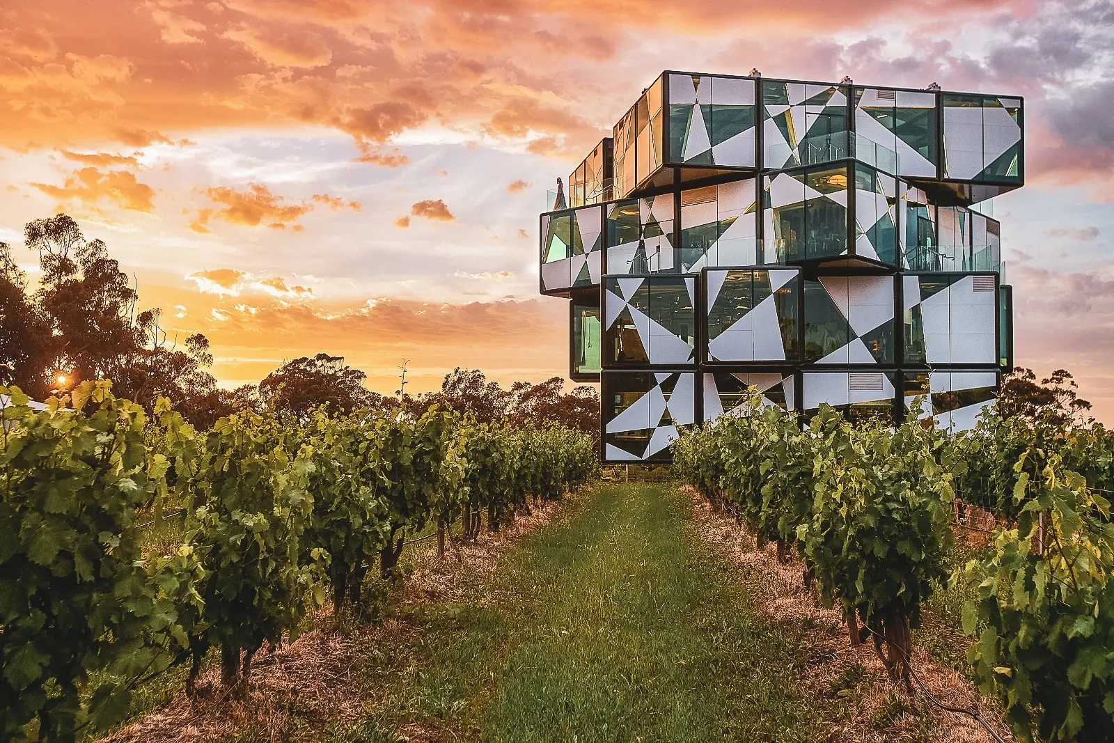 Mclaren Vale - Day trips from Adelaide